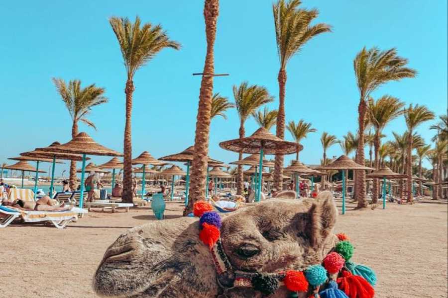 ÉGYPTE : COMBINÉ SHARM EL SHEIKH + PYRAMIDES/LE CAIRE – Mer Rouge & Merveilles antiques