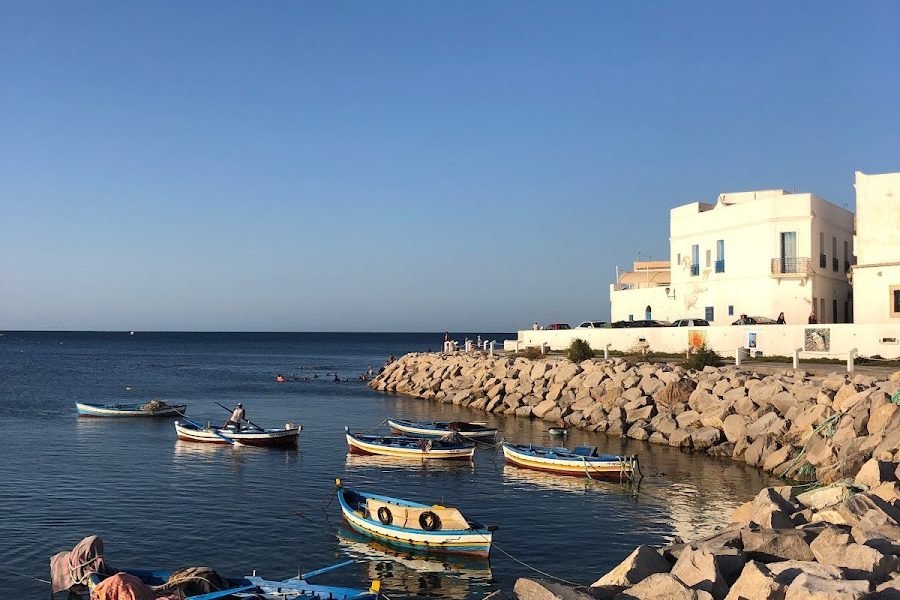 dar jamila