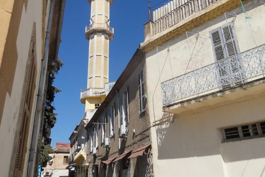 المدية