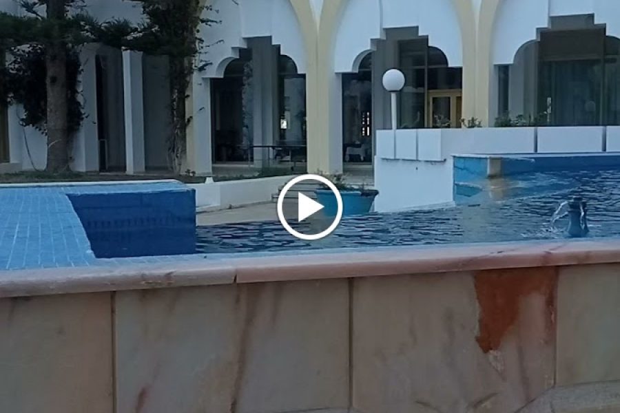 Amir Palace