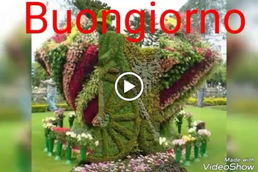 Hotel Astoria, Sure Hotel Collection by Best Western