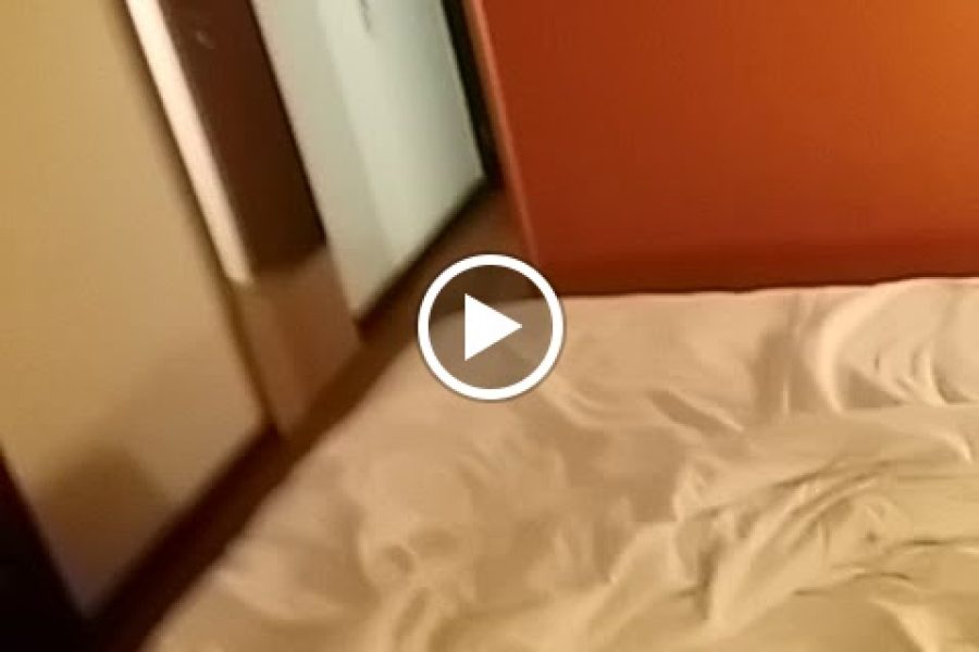 ibis Milano Ca Granda