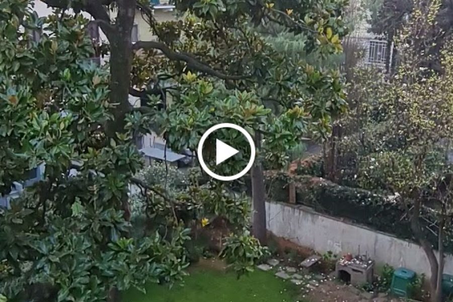 Appartamento Piazza Aspromonte