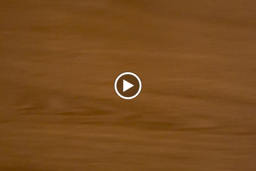 Golden Tulip Opera Alger