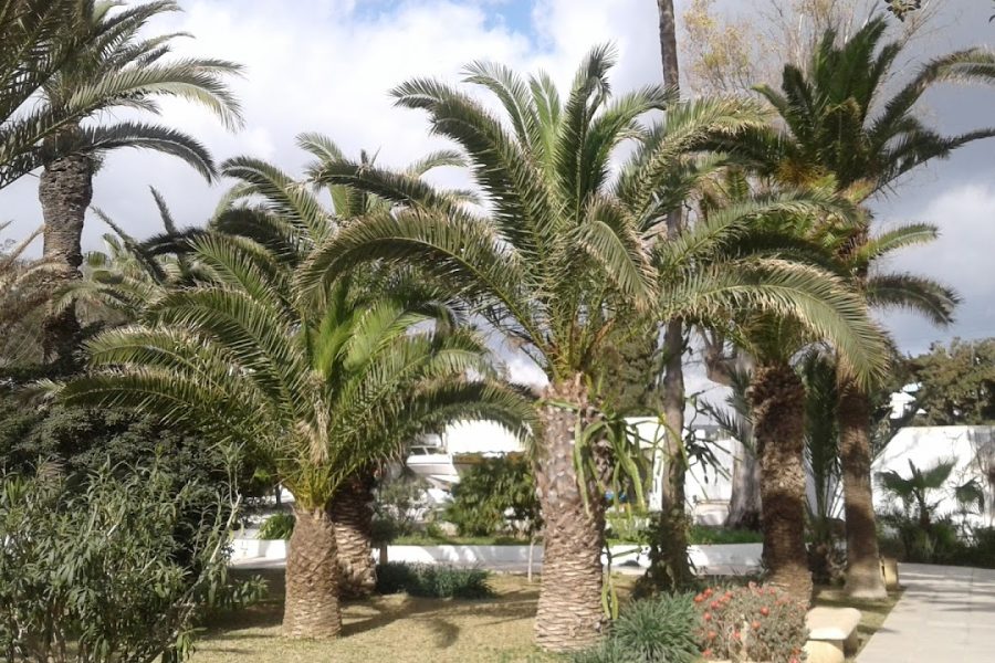 Résidence de la Paix